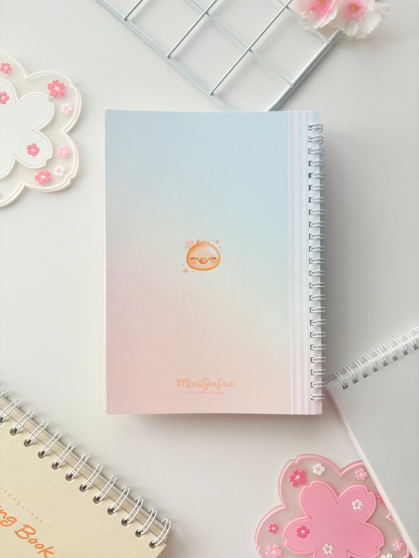 Checkered Reusable Sticker Books