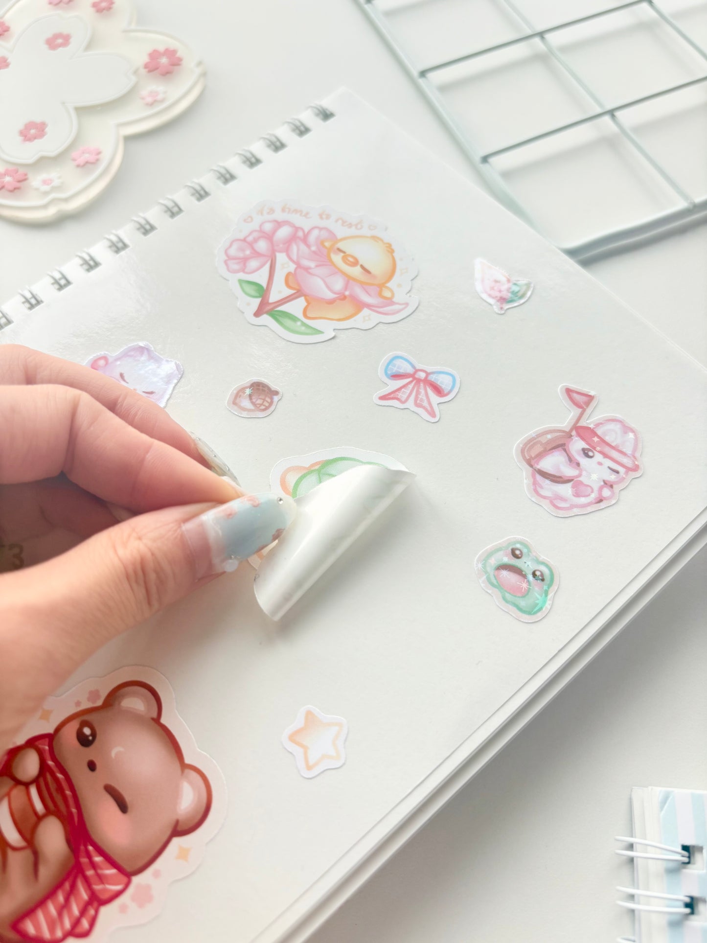 Checkered Reusable Sticker Books